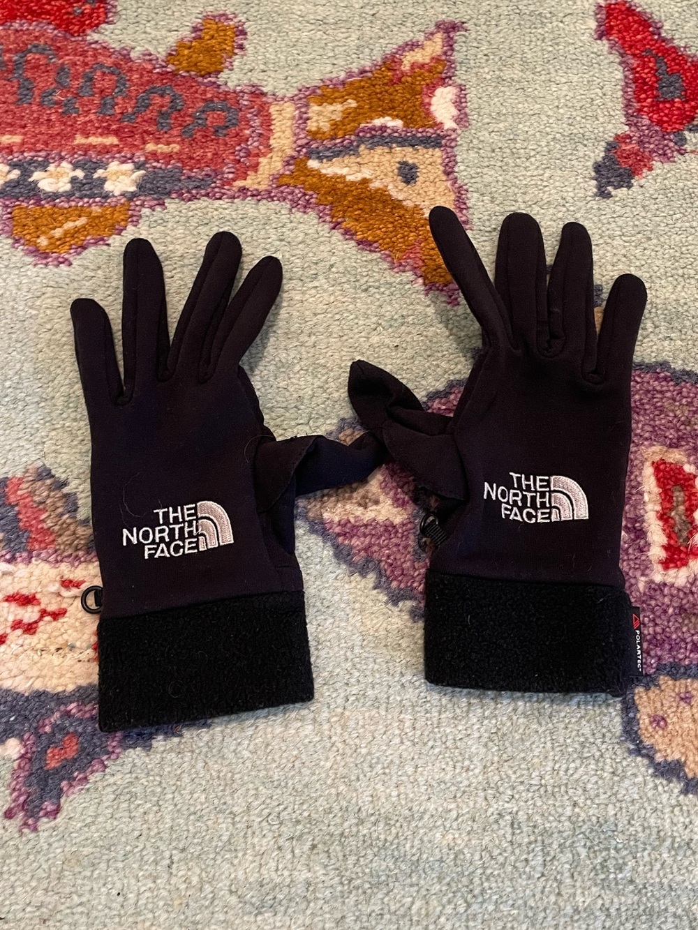 The North Face Men's Outdoors Winter Insulated Fleece Ski/Snow Gloves